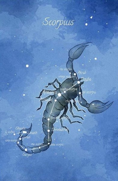 Созвездия зодиака Скорпион