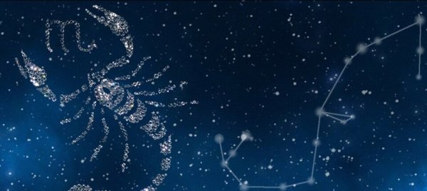 Зодиакальное Созвездие Скорпион
