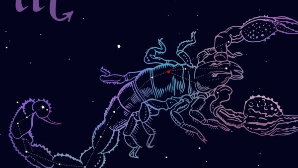 Созвездие скорпиона астрономия