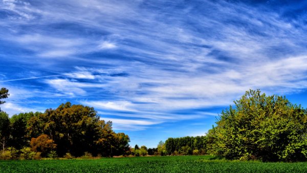 Летний пейзаж