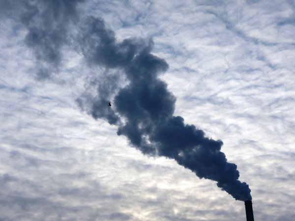 Небо в дыму