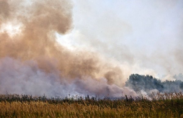 Дым в степи
