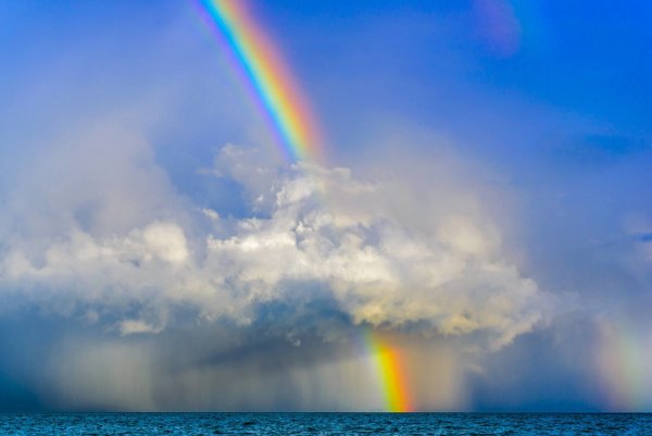 Радуга явление природы