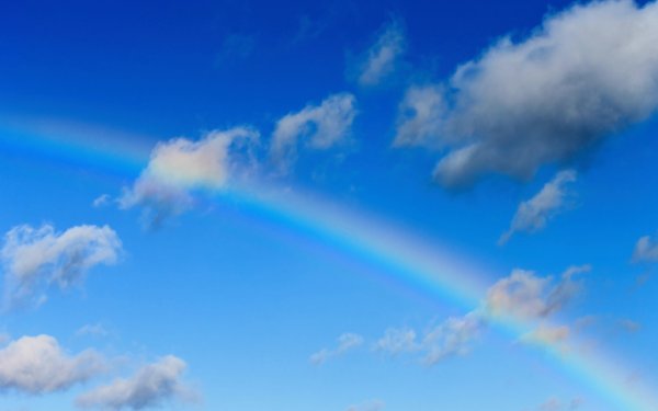 Радуга над лугом