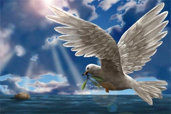 Мирное небо над родиной