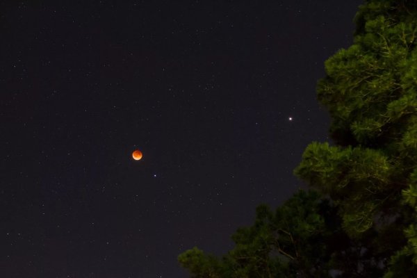 Венера ночью на небе