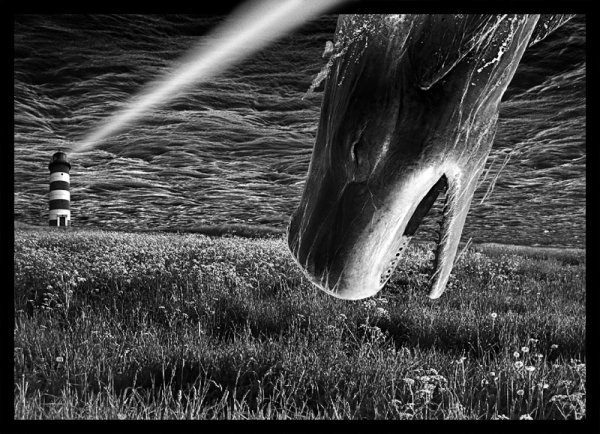 Открытые небеса