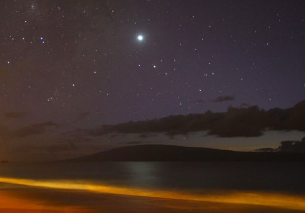 Планета Венера вид с земли