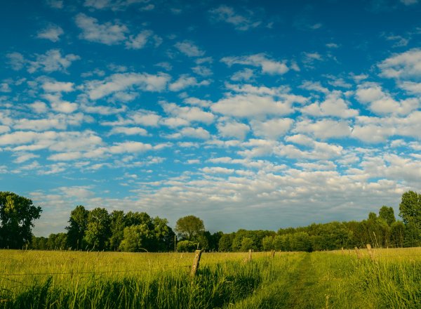 Небо осенью
