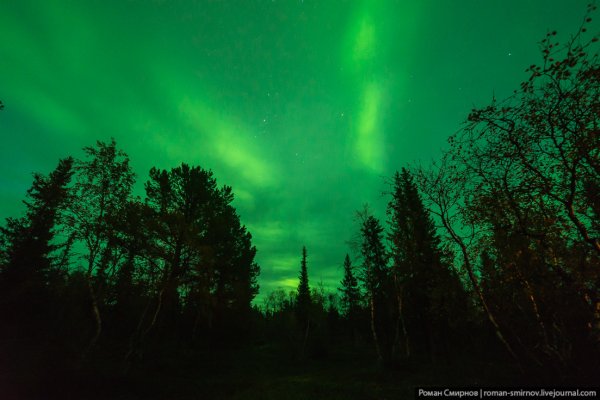 Сияние севера