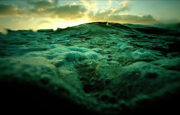 Зеленое море