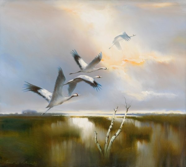 Утки в небе