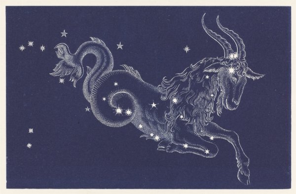 Capricornus знак зодиака