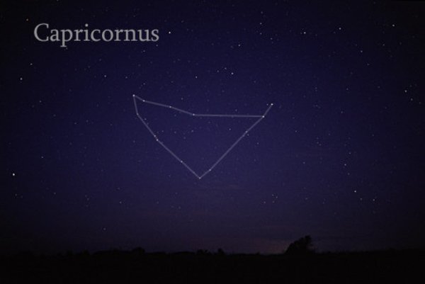 Созвездие Capricornus