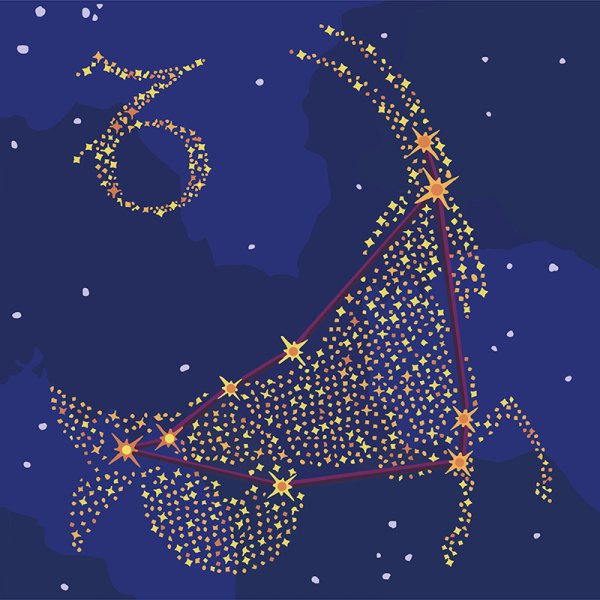 Козерог на Звездном небе