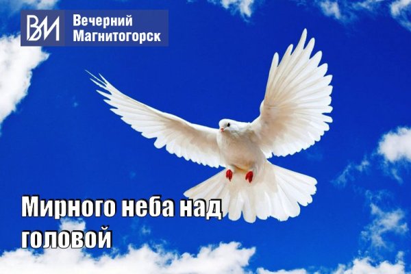 Мирное небо голуби