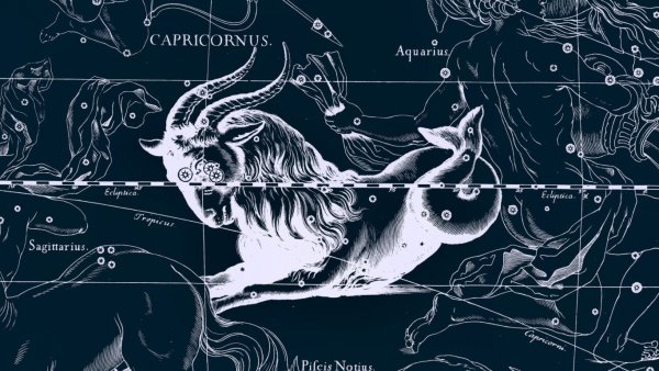 Capricornus знак зодиака