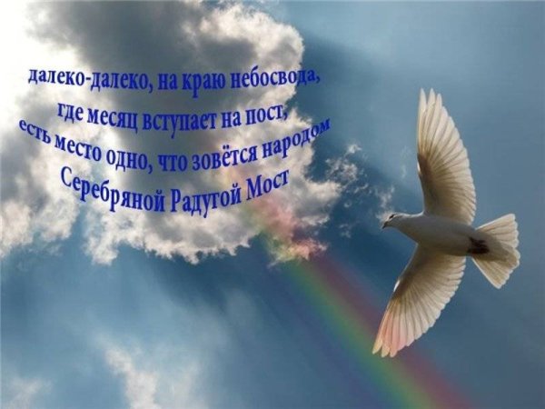 Мирного неба над головой