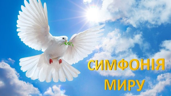 Мирное небо