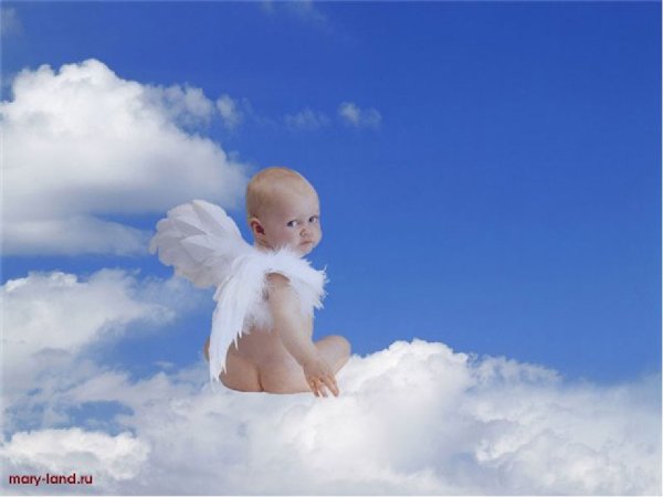 Человек и природа