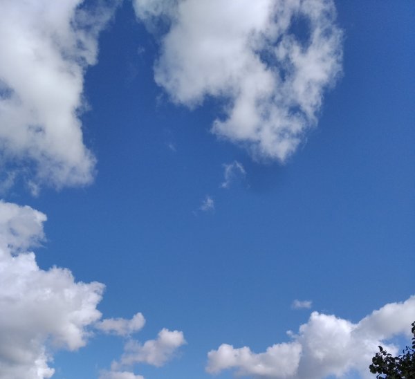 Мирного неба над головой