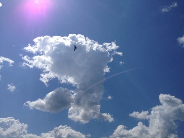 Мирное небо