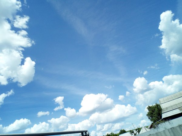 Мирного неба над головой