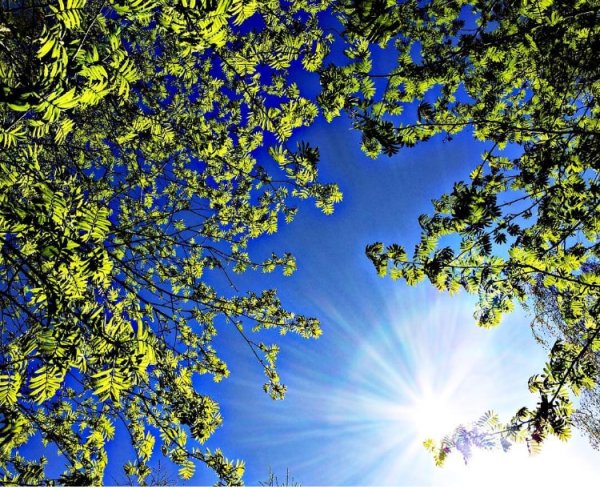 Небо над головой