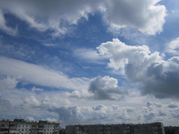 Мирного неба над головой