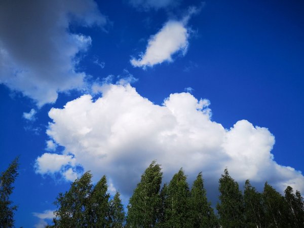 Кучевые облака над лесом