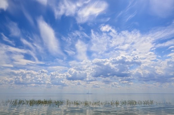 Живые облака