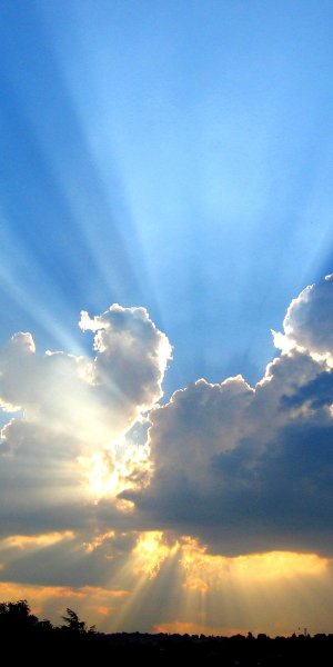 Мирная жизнь