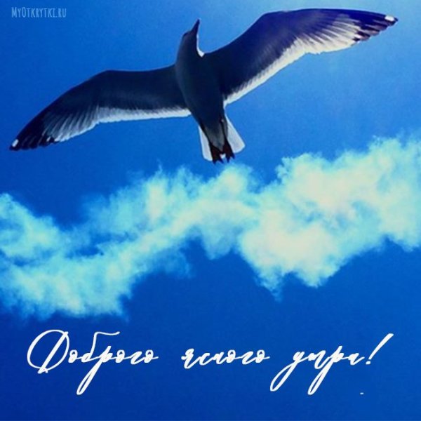 Хорошего дня и мирного неба