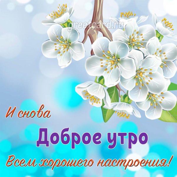 Доброе утро друзья