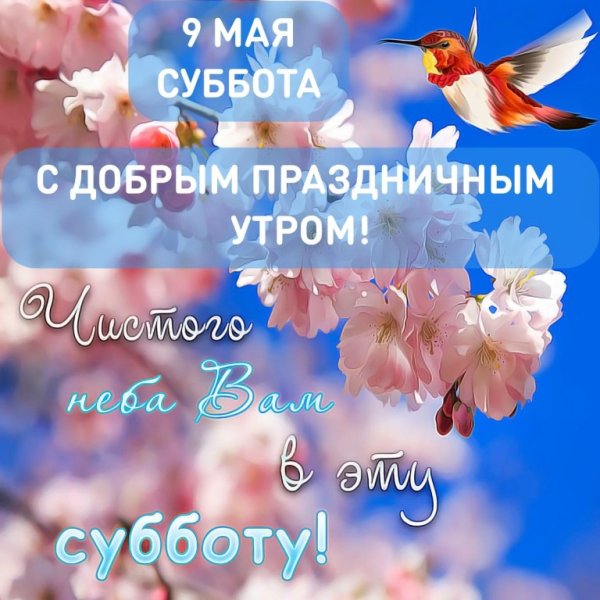 Хорошего дня и мирного неба