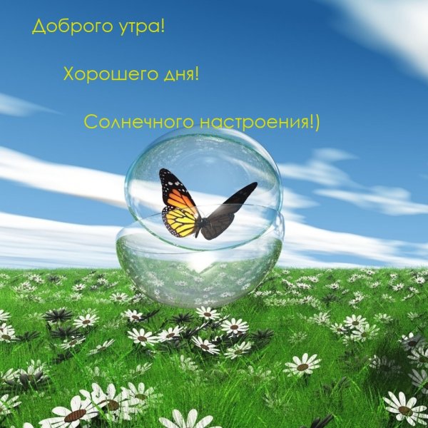Доброго мирного утра