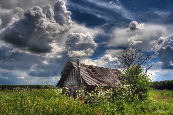 Михаил Евдокимов домик удороги