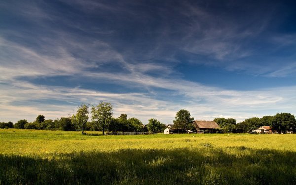 Сельский пейзаж