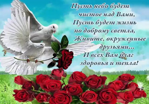 Пожелания мира и добра на земле