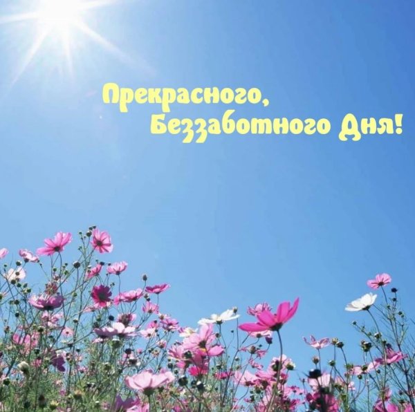 Чудесного дня