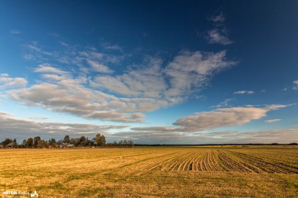 Поле деревня