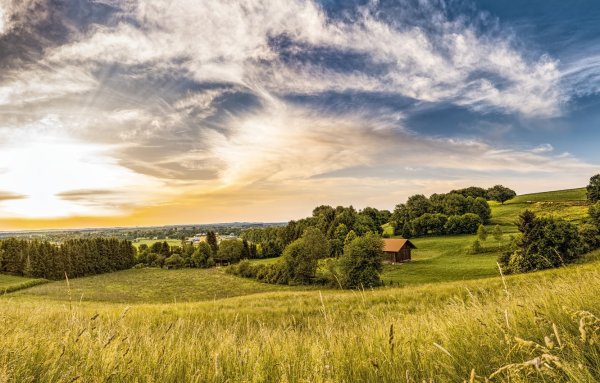 Баннер природа