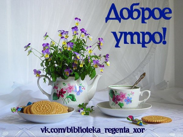 Весеннее небо с птицами