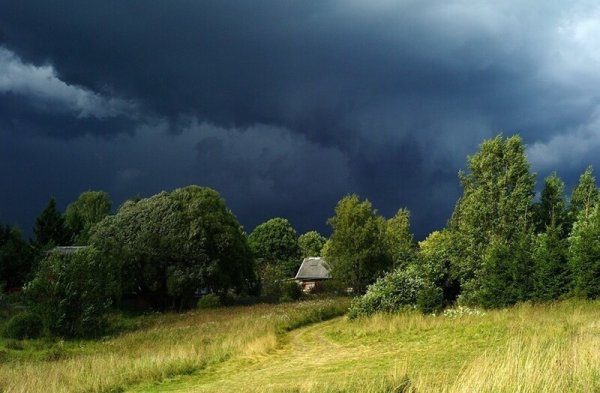 Перед грозой в деревне