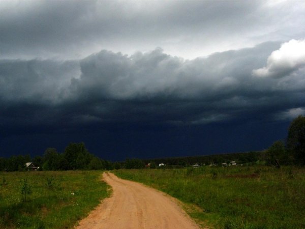 Перед грозой в деревне