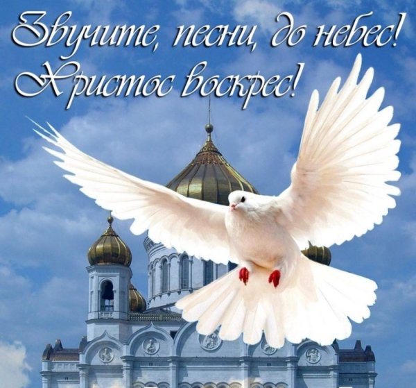 " Иисус. Бог и человек". ( Jesus).