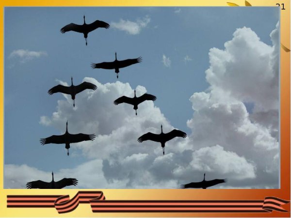 Журавли Великая Отечественная война