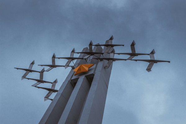 Косяк птиц в небе