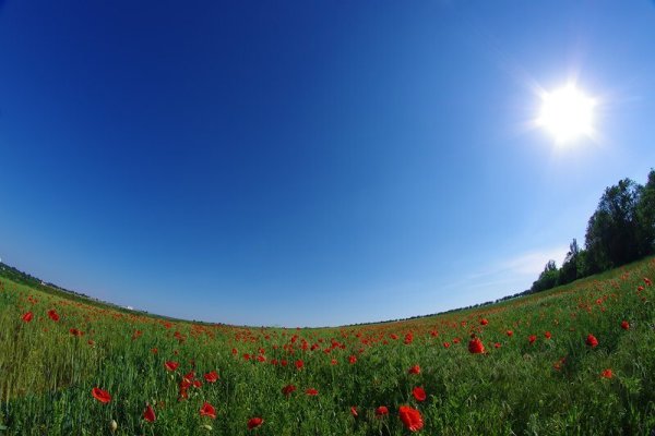 Безоблачное небо