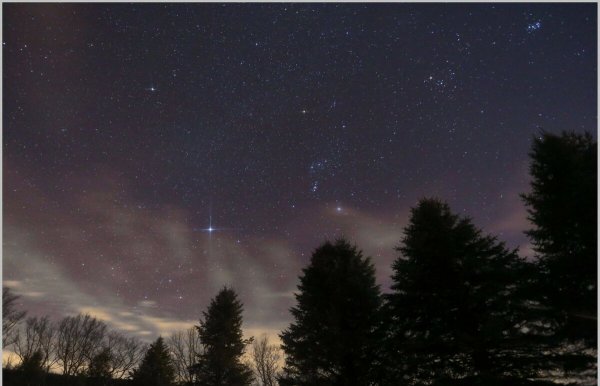 Сириус ярчайшая звезда ночного неба